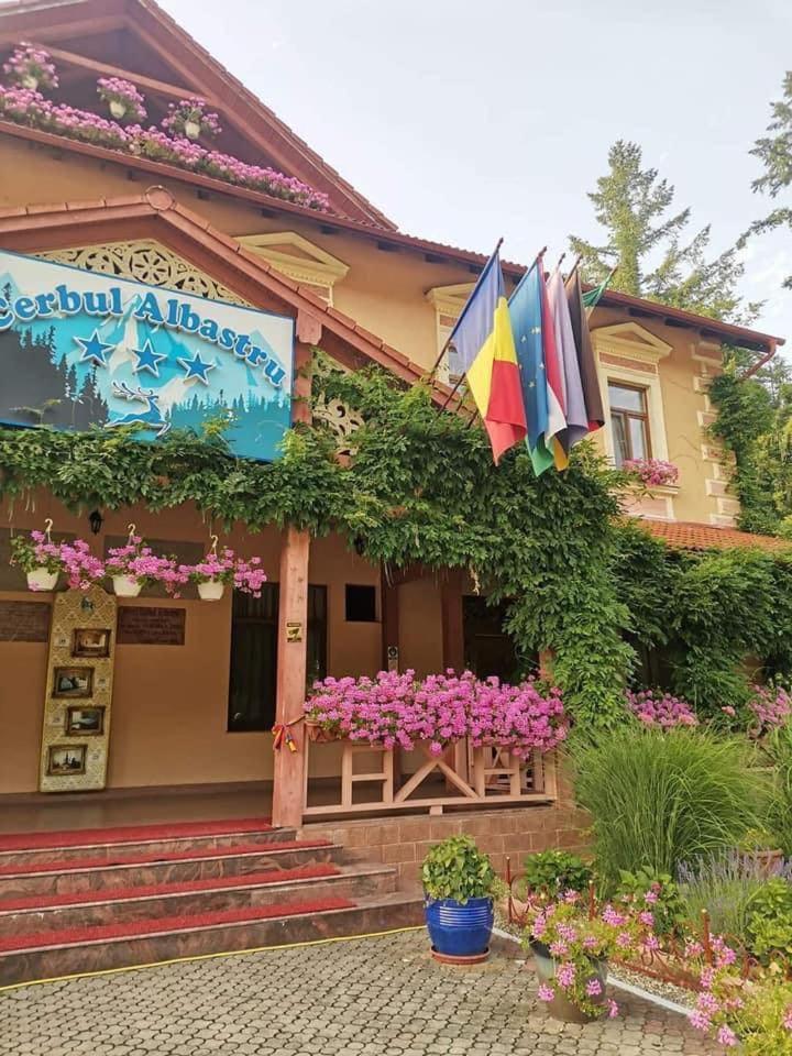 Vila Cerbul Albastru Hotel Moneasa Exterior foto